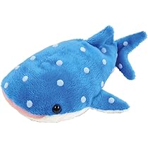 61m76miU+bL._AC_UL210_SR210,